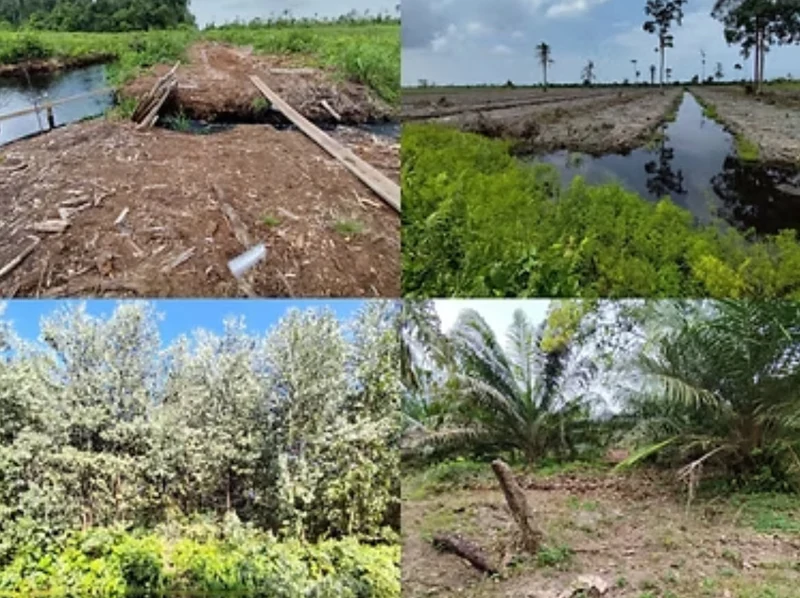 Four site photographs from the Pekanbaru Suntara project area showing waterways and vegetation